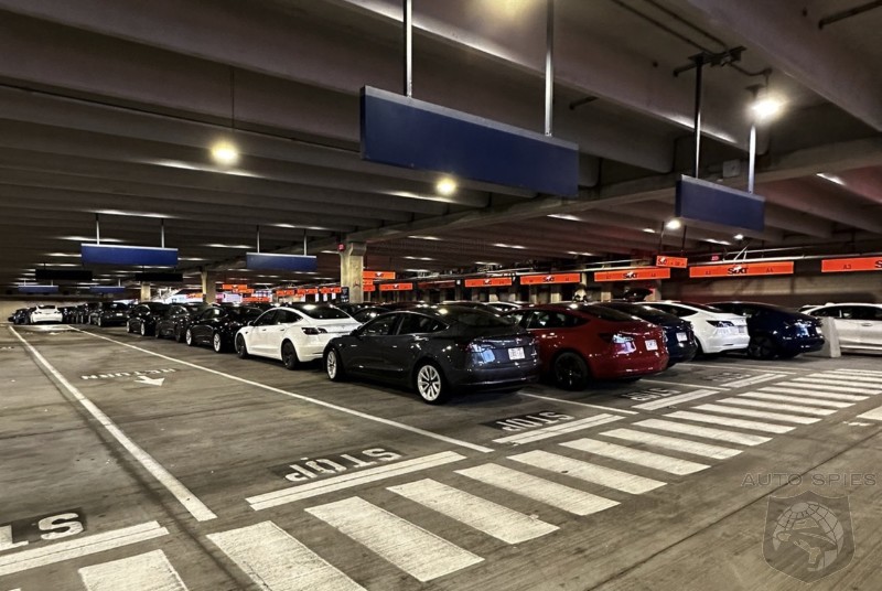 Social Media Reports That Hertz Is Having A Hard Time Renting Teslas